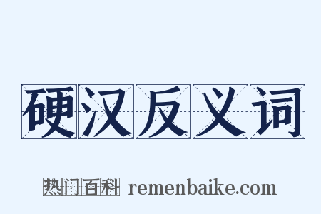 硬汉反义词是什么意思的图片